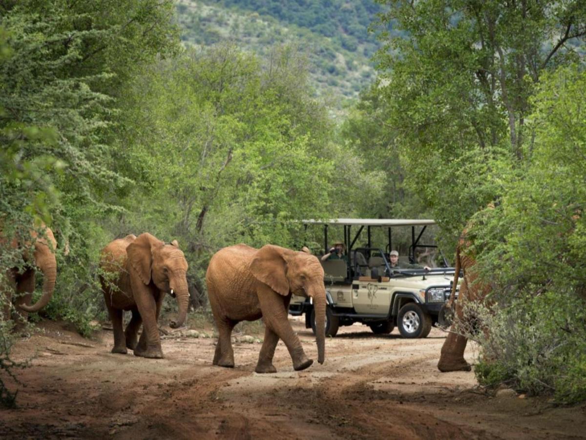 Villa Mbazo Safaris Pilanesberg Exterior foto